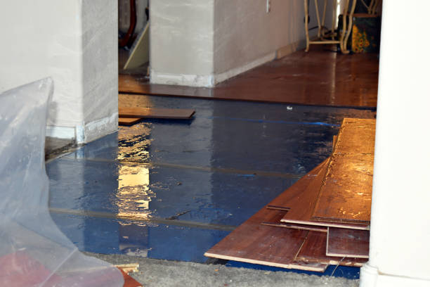 Professional Water Damage Restoration technician working in Newton Center, MA